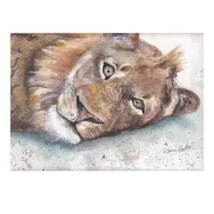 "Sleepy lion " A watercolour print By SaraL. Rose Arts