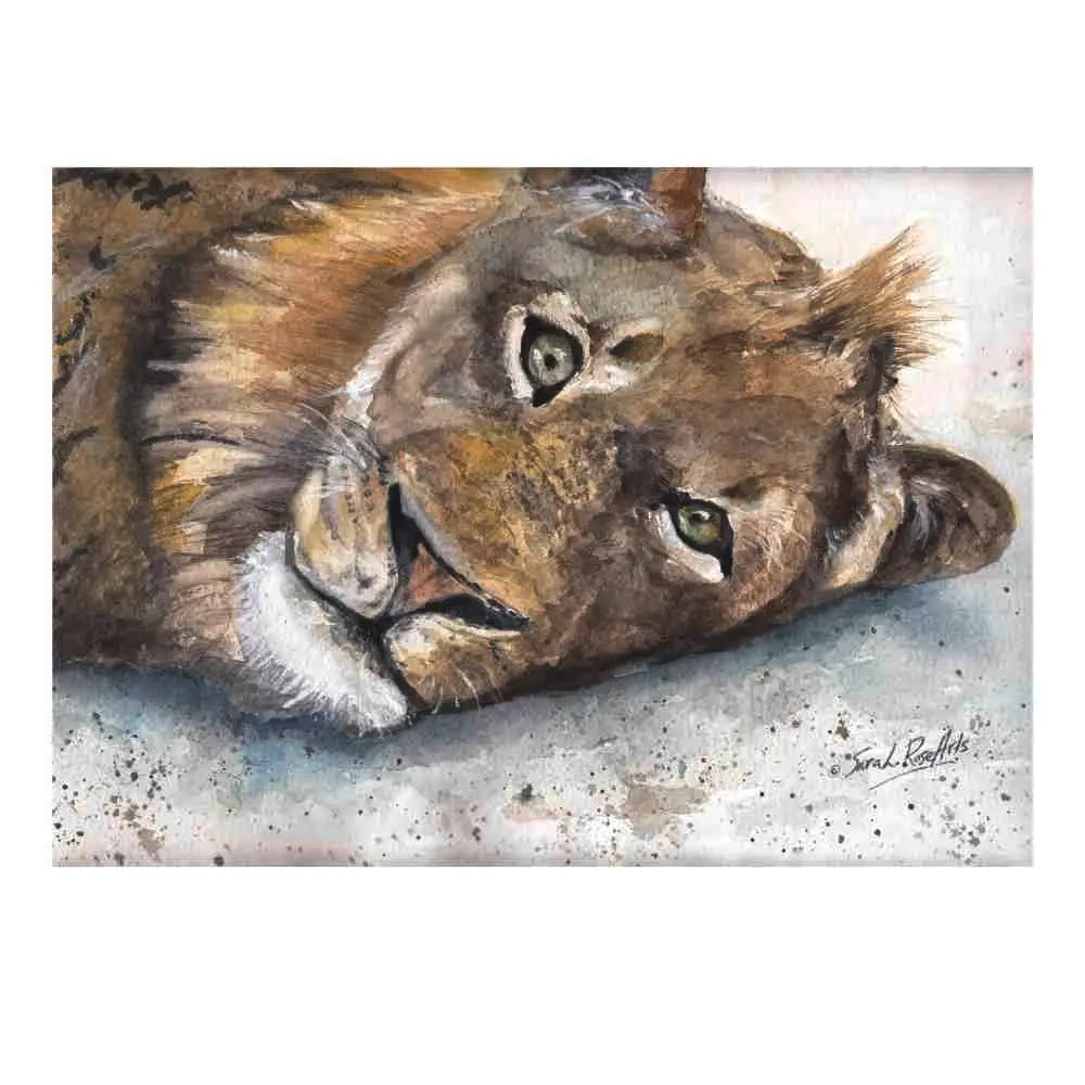 "Sleepy lion " A watercolour print By SaraL. Rose Arts "Sleepy lion " A watercolour print By SaraL. Rose Arts